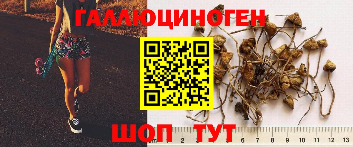 Псилоцибиновые грибы мухоморы Октябрьский